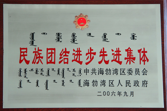 2006年烏海市民族團結進步先進集體