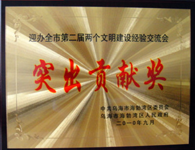 2010年烏海市文明建設(shè)經(jīng)驗交流會突出貢獻獎